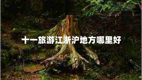 十一旅游江浙沪地方哪里好