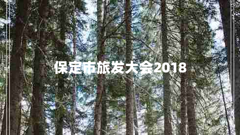 保定市旅发大会2018