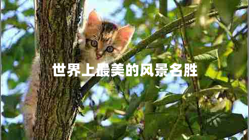世界上最美的风景名胜