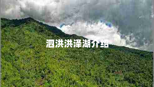 泗洪洪泽湖介绍