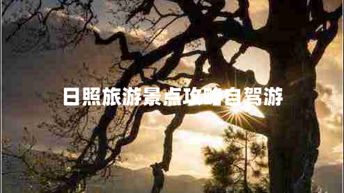 日照旅游景点攻略自驾游