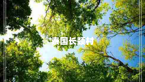 泰国长颈村