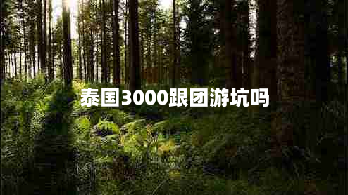 泰国3000跟团游坑吗