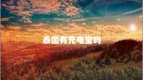 泰国有充电宝吗