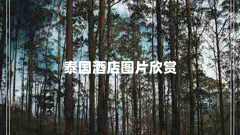 泰国酒店图片欣赏