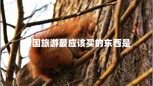 泰国旅游最应该买的东西是