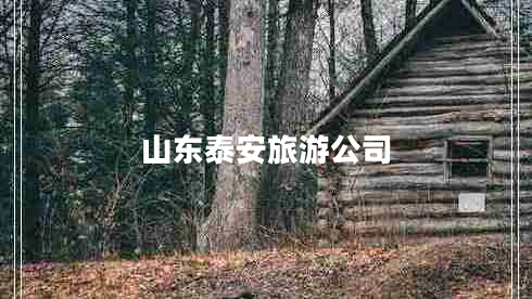山东泰安旅游公司