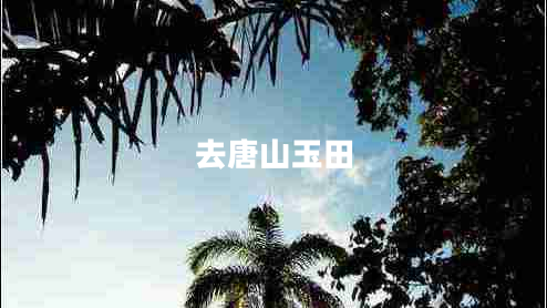 去唐山玉田 去唐山玉田