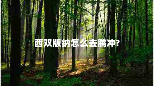 西双版纳怎么去腾冲?
