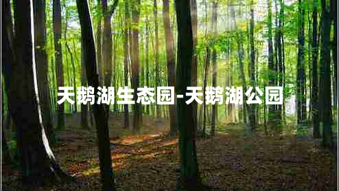 天鹅湖生态园-天鹅湖公园