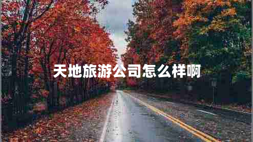 天地旅游公司怎么样啊