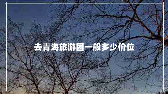 去青海旅游团一般多少价位