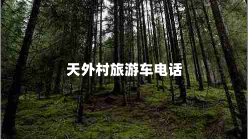 天外村旅游车电话