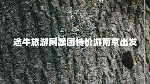 途牛旅游网跟团特价游南京出发