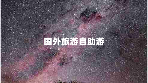 国外旅游自助游