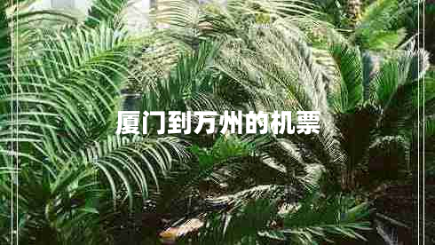 厦门到万州的机票