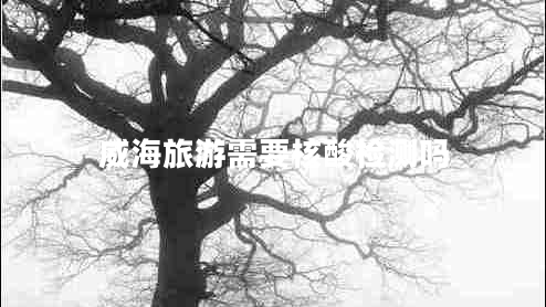 威海旅游需要核酸检测吗