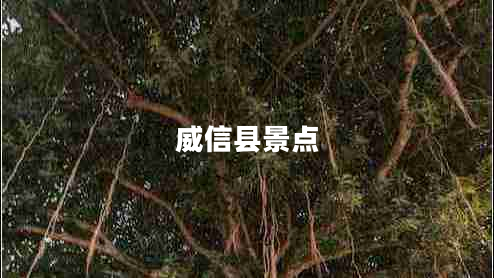 威信县景点