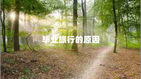 毕业旅行的原因