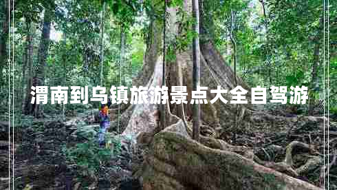 渭南到乌镇旅游景点大全自驾游