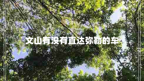 文山有没有直达弥勒的车