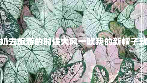我和奶奶去旅游的时候大风一吹我的新帽子就吹跑啦