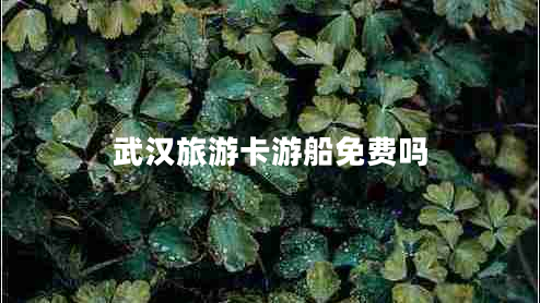 武汉旅游卡游船免费吗