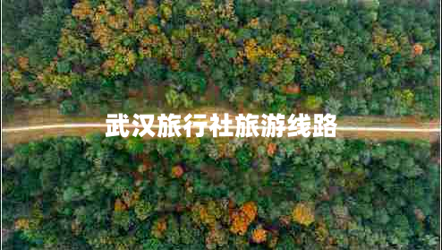 武汉旅行社旅游线路