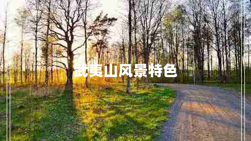 武夷山风景特色