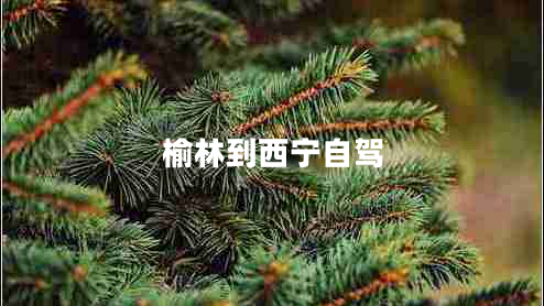 榆林到西宁自驾