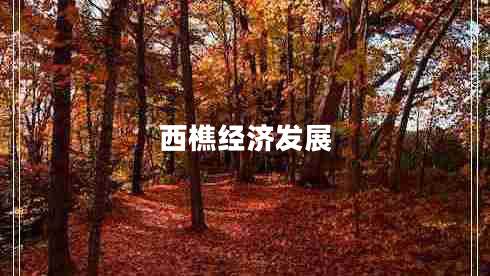 西樵经济发展