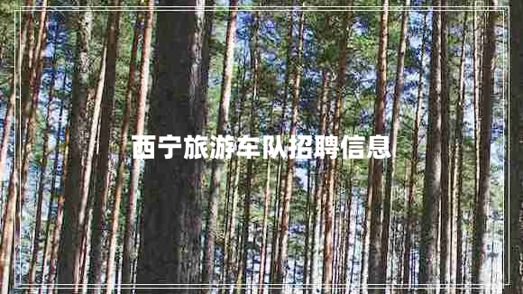 西宁旅游车队招聘信息