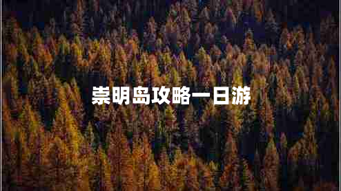 崇明岛攻略一日游