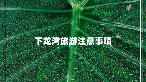 下龙湾旅游注意事项