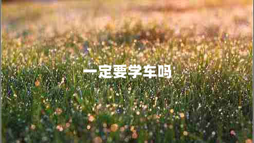 一定要学车吗
