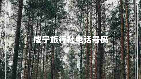 咸宁旅行社电话号码