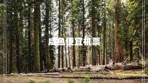 咸鱼便宜机票