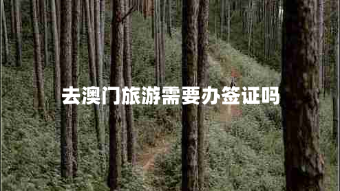 去澳门旅游需要办签证吗