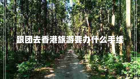 跟团去香港旅游要办什么手续