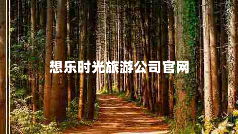 想乐时光旅游公司官网