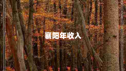 襄阳年收入