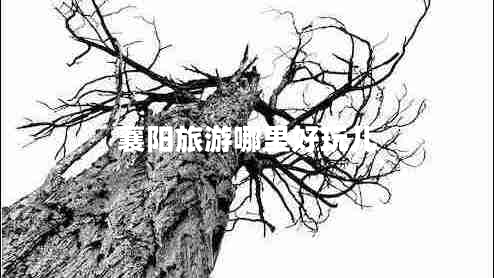 襄阳旅游哪里好玩儿