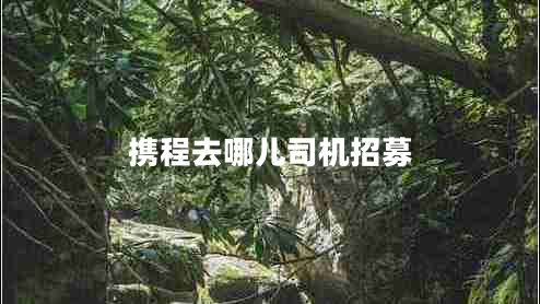 携程去哪儿司机招募