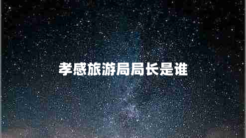 孝感旅游局局长是谁