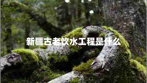 新疆古老饮水工程是什么