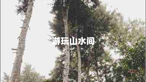 游玩山水间