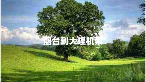烟台到大理机票