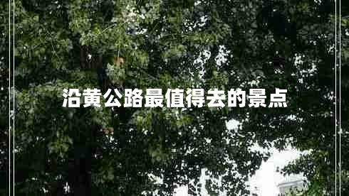 沿黄公路最值得去的景点
