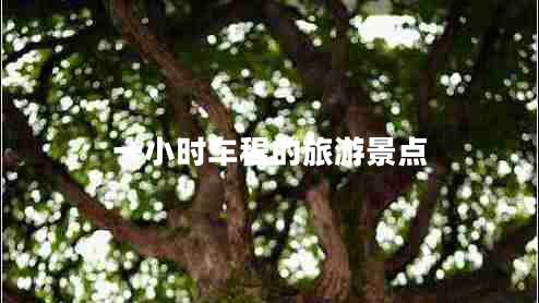 一小时车程的旅游景点