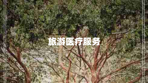 旅游医疗服务